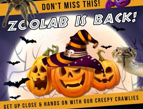 Zoolab Halloween Special