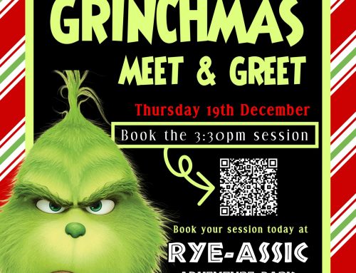 Meet the Grinch